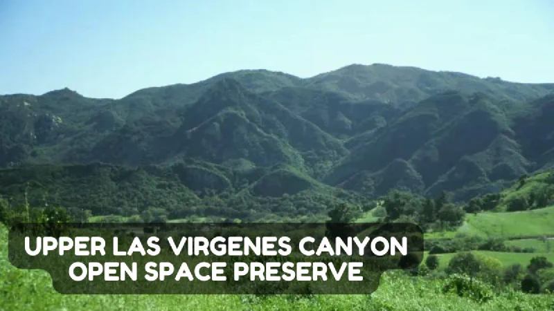 Upper Las Virgenes Canyon Open Space Preserve