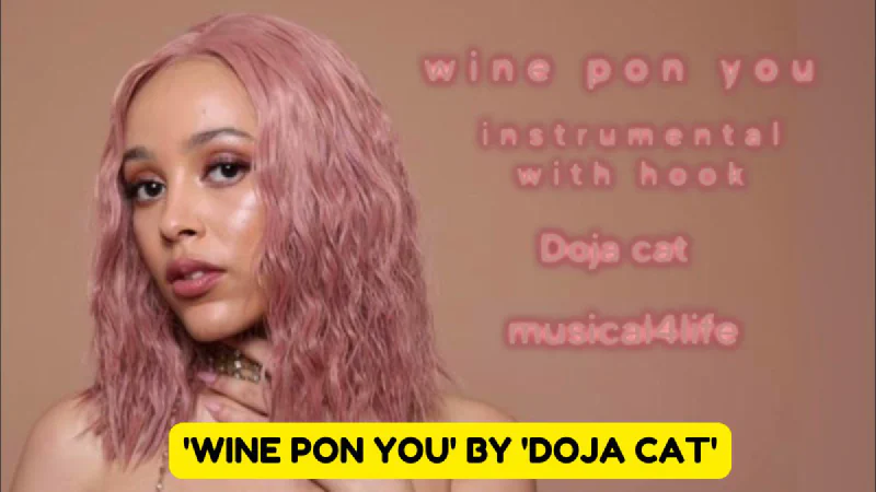 Meaning of 'Wine Pon You' by 'Doja Cat'