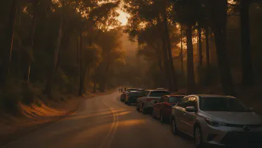 Greek Theatre Parking: How to Get In and Out of Griffith Park