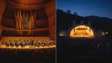 Disney Hall vs Hollywood Bowl: Which One to Pick